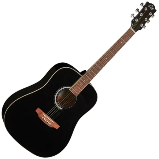 Eko Ranger 6 Black Fodero e Plettri Inclusi
